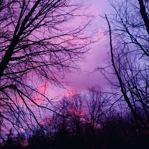 Meet your Posher, Richard